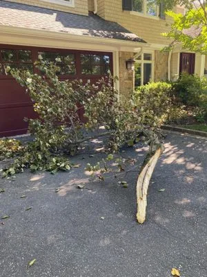 Hefferin Tree Service