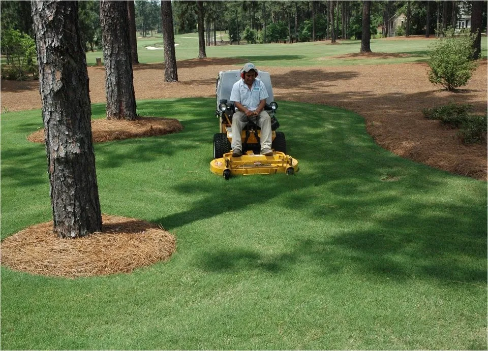 Professional yard maintenance experts serving Vass, NC - Heffner Landscaping