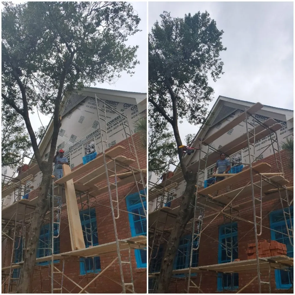 Top-rated yard cleanup service in Decatur, GA by Heflin Tree Service