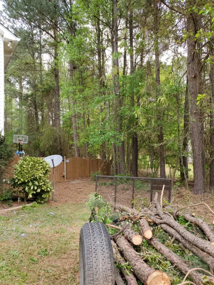 Top-rated yard cleanup service in Decatur, GA - Heflin Tree Service