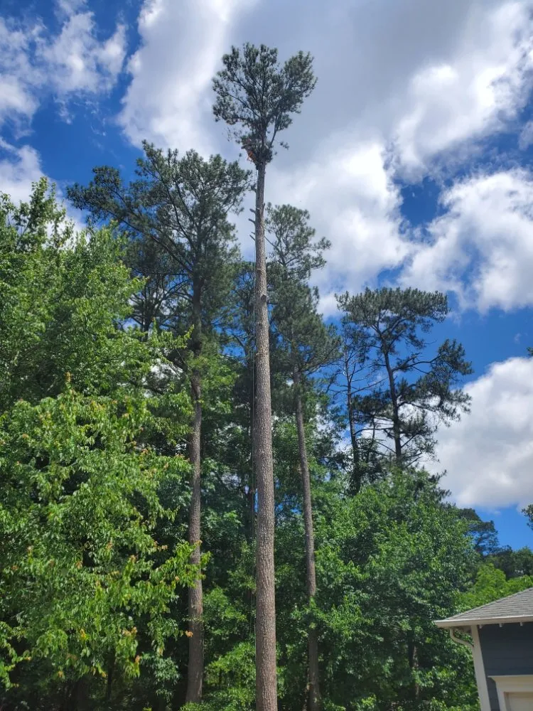 Professional lawn mowing service in Decatur, GA by Heflin Tree Service