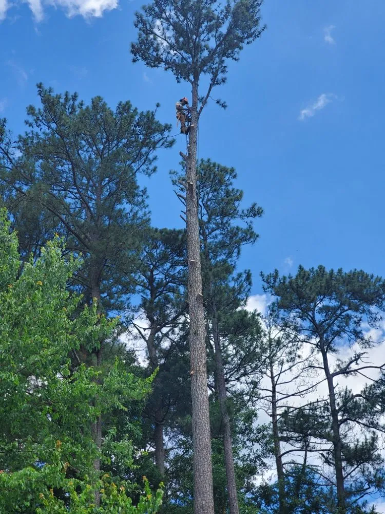 Reliable landscaping services with custom design across Decatur, GA - Heflin Tree Service