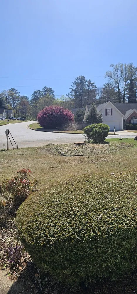 Trusted lawn care service for homes across Decatur, GA - Heflin Tree Service