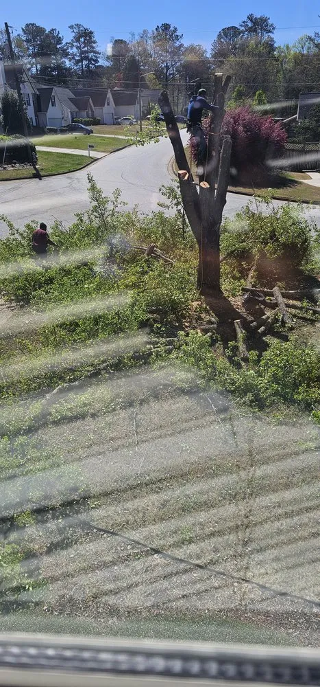 Trusted residential landscaping in Decatur, GA by Heflin Tree Service