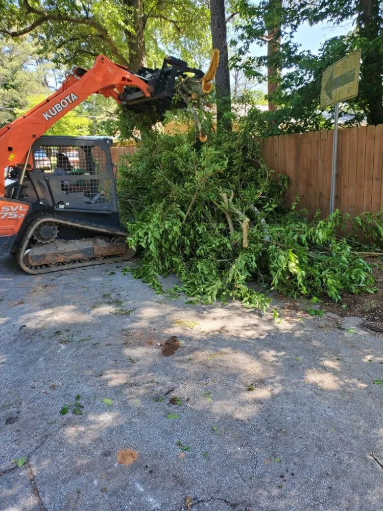Trusted landscaping services in Decatur, GA by Heflin Tree Service