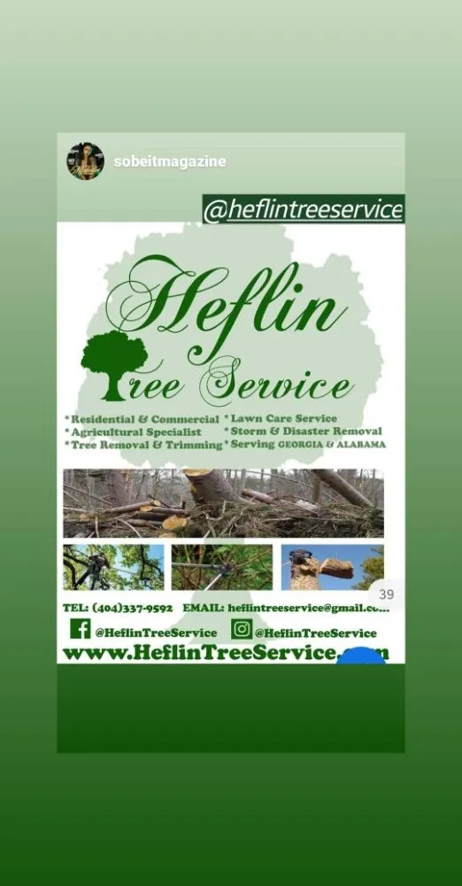 Top-rated landscape installation in Decatur, GA - Heflin Tree Service