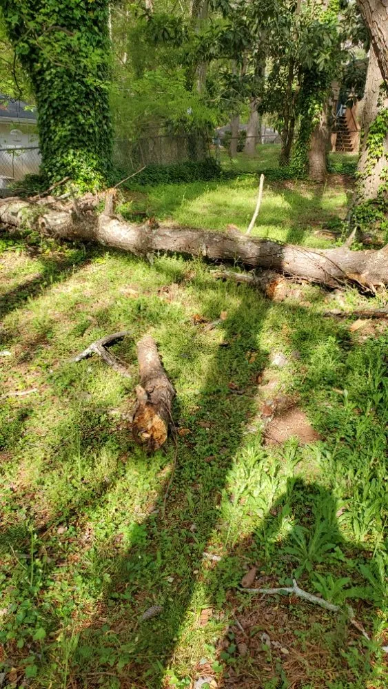 Custom residential landscaping for residential properties across Decatur, GA - Heflin Tree Service