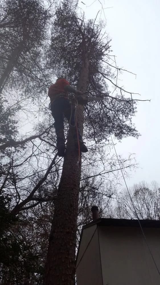 Professional yard cleanup service with custom design in Spotsylvania, VA by Heflin's Lawn Care