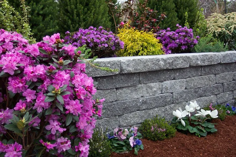 Local garden landscaping experts serving North Andover, MA - Hegartys Landscaping