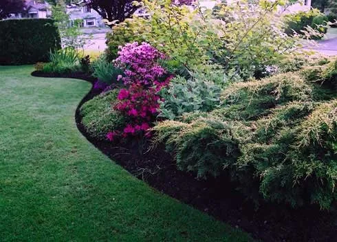 Expert lawn care service in North Andover, MA by Hegartys Landscaping