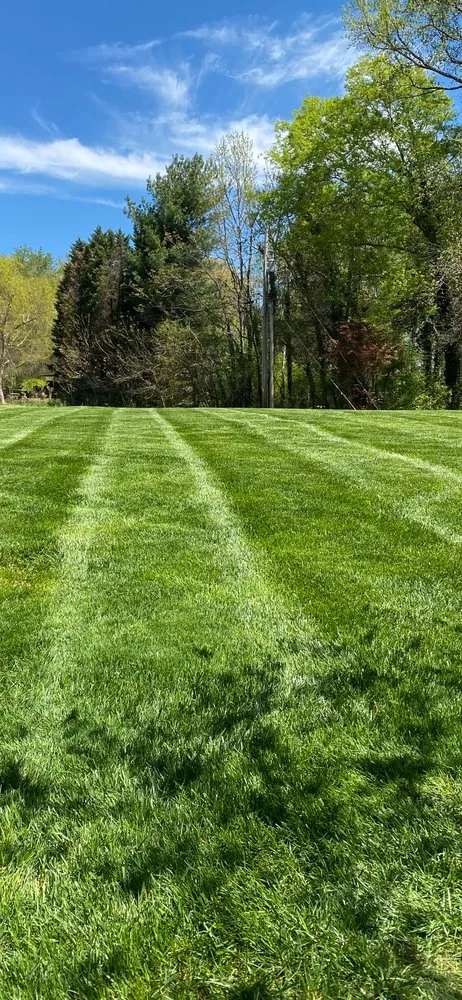 Expert lawn mowing service for outdoor upgrades across Lexington, NC - Hege lawn care