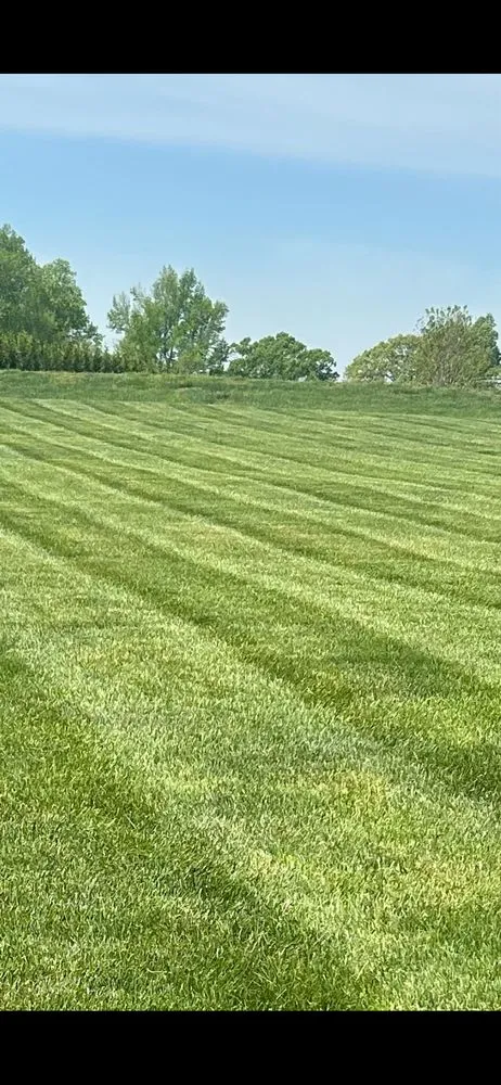 Local landscaping services in Lexington, NC - Hege lawn care