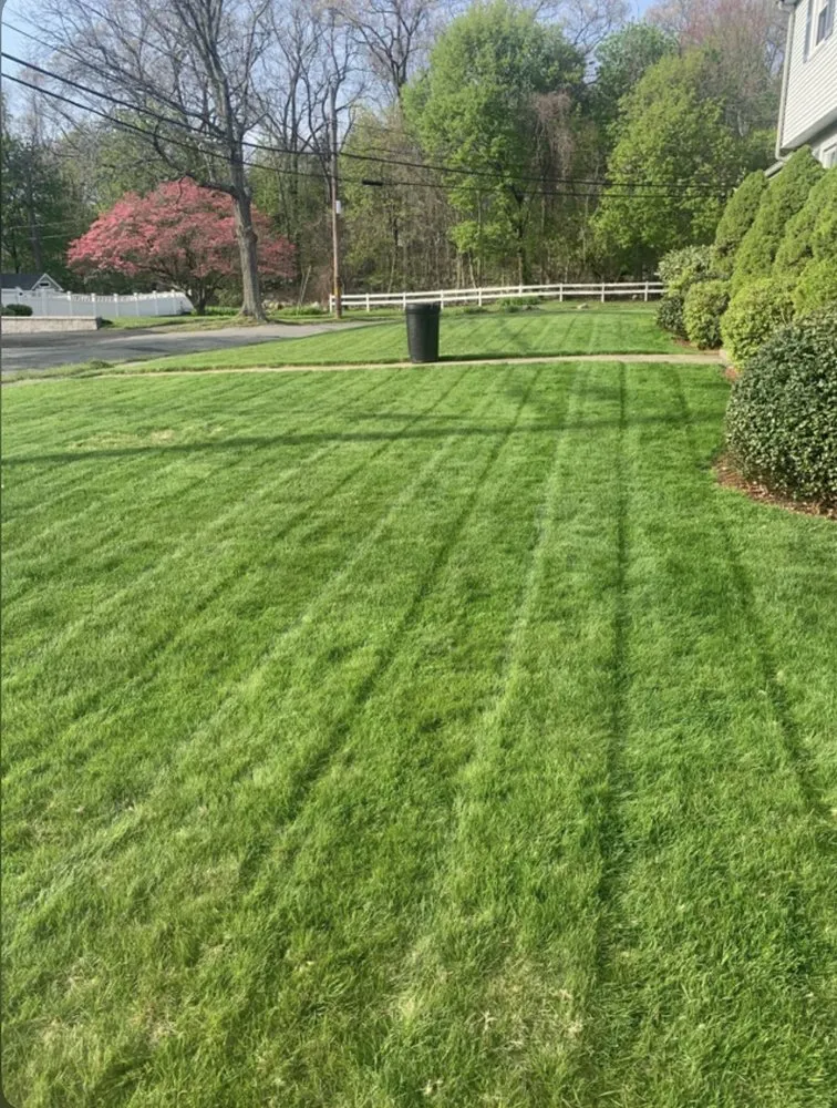 Top-rated landscape installation in Oak Harbor, OH - Heggies Lawn Care