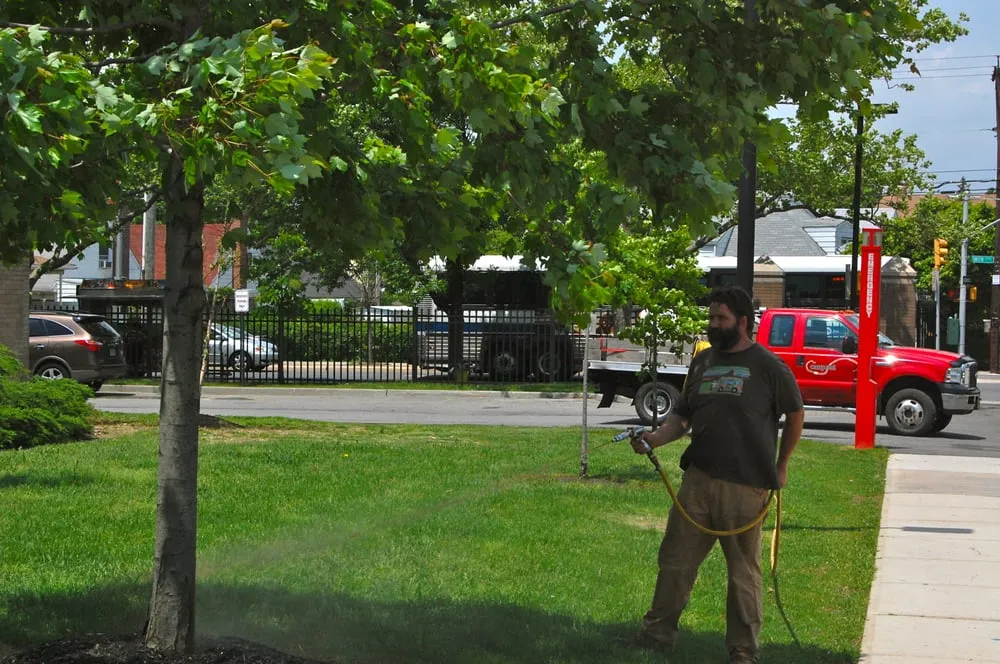 Reliable garden landscaping experts serving Barrington, NH - Heidelberg Farms