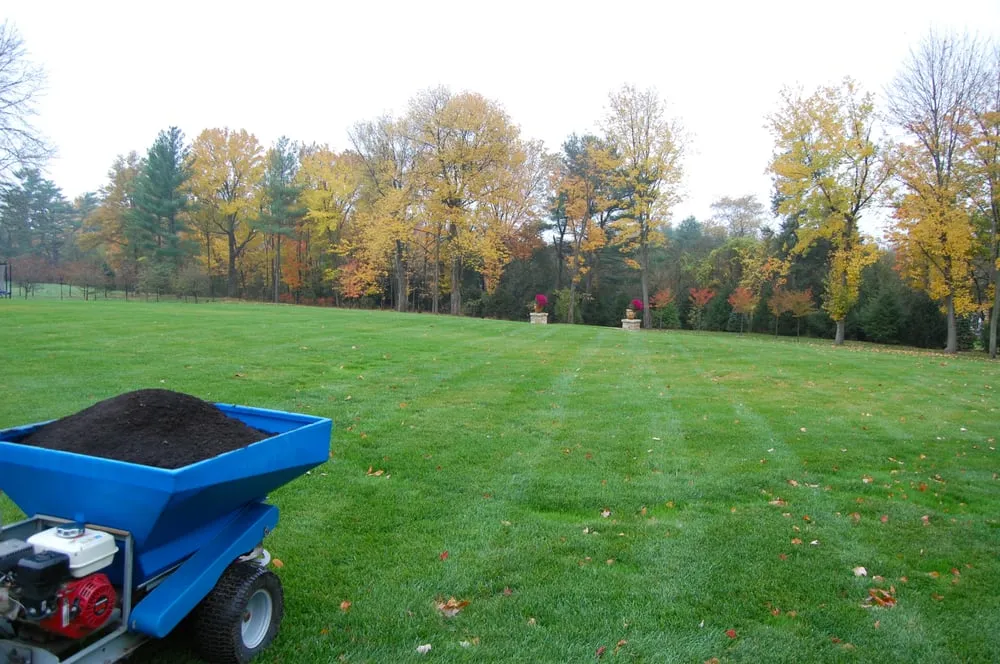 Top-rated yard cleanup service experts serving Barrington, NH - Heidelberg Farms