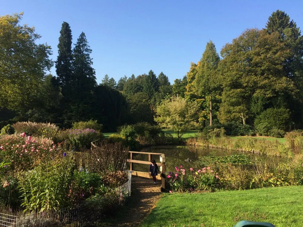 Local outdoor landscaping in Vienna, VA by Heidelberg Fountains & Ponds