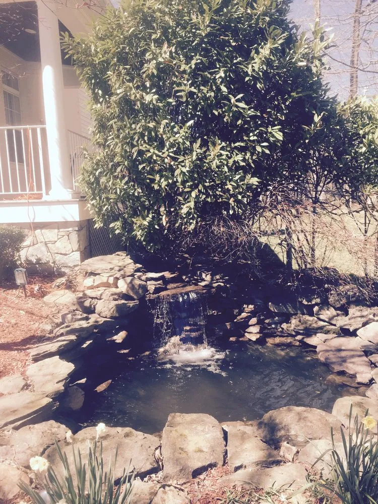 Affordable yard maintenance in Vienna, VA by Heidelberg Fountains & Ponds