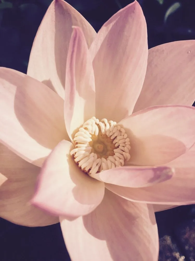 Reliable landscape design with custom design across Vienna, VA - Heidelberg Fountains & Ponds