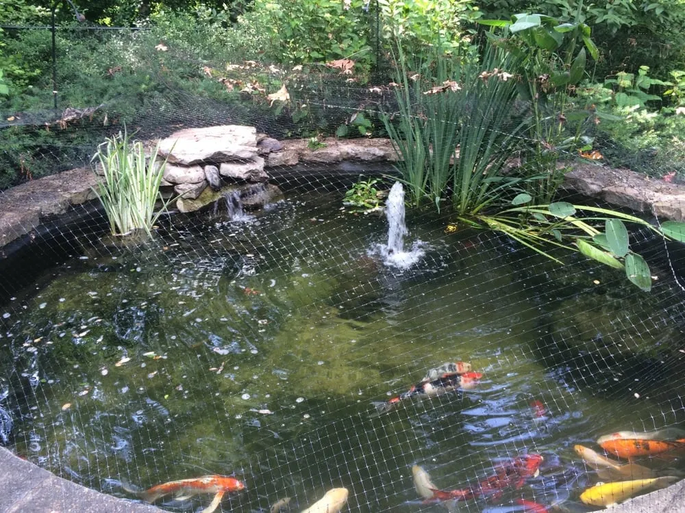 Affordable lawn care service in Vienna, VA - Heidelberg Fountains & Ponds