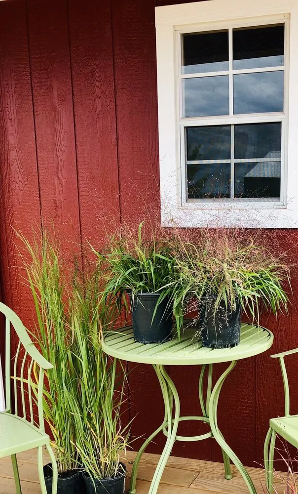 Top-rated garden landscaping in Corcoran, MN - Heidi's Growhaus & Lifestyle Gardens