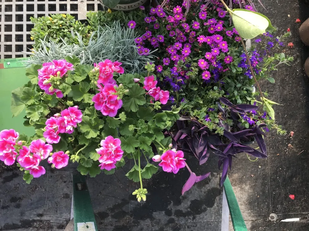 Affordable residential landscaping for beautiful yards in Corcoran, MN by Heidi's Growhaus & Lifestyle Gardens