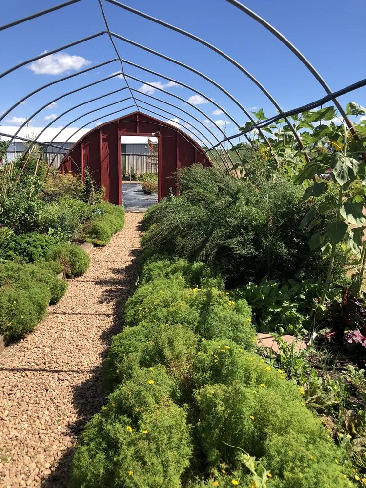 Custom yard maintenance near you in Corcoran, MN by Heidi's Growhaus & Lifestyle Gardens