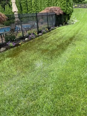 Heidrich Landscaping