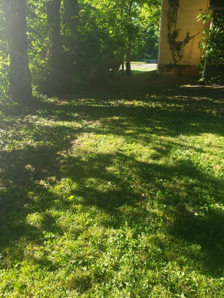 Local landscape installation with custom design across Bloomington, IL - Heids Hands General Labor