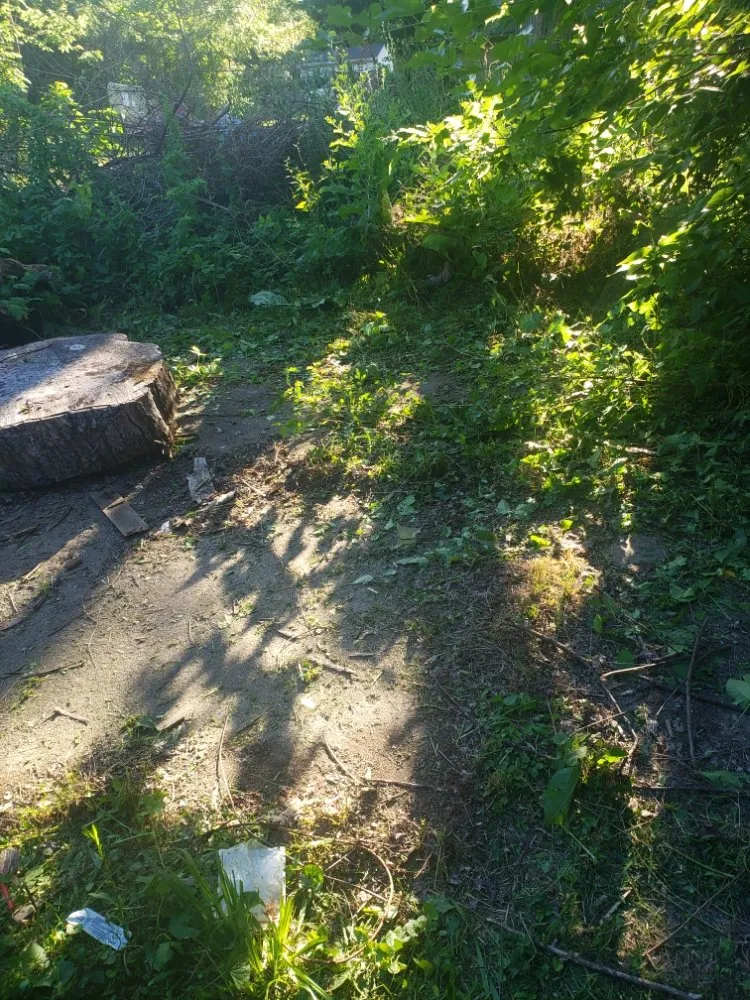 Reliable landscape installation in Bloomington, IL - Heids Hands General Labor