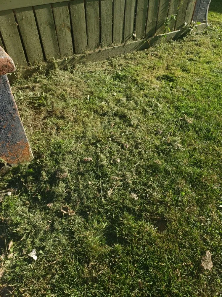 Custom landscape installation for beautiful yards in Bloomington, IL by Heids Hands General Labor