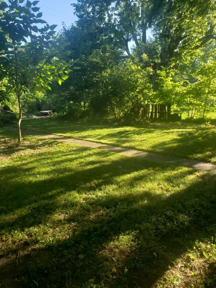 Top-rated landscape installation in Bloomington, IL - Heids Hands General Labor