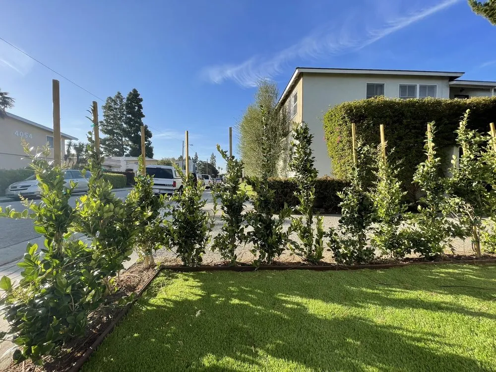 Custom outdoor landscaping in Los Angeles, CA - Heights Landscape