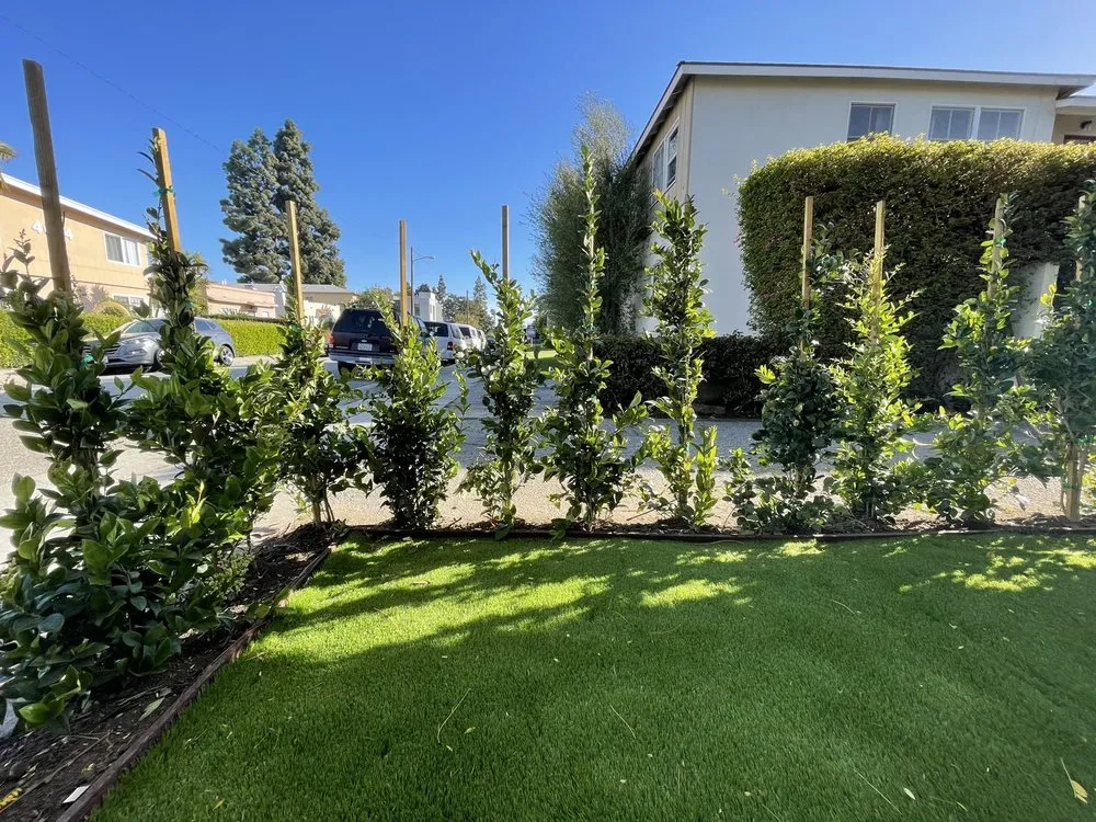 Local lawn mowing service for homes in Los Angeles, CA by Heights Landscape