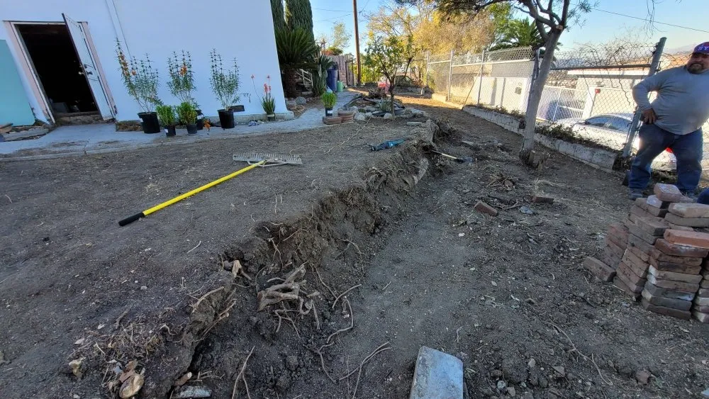 Reliable yard maintenance in Los Angeles, CA by Heights Landscape