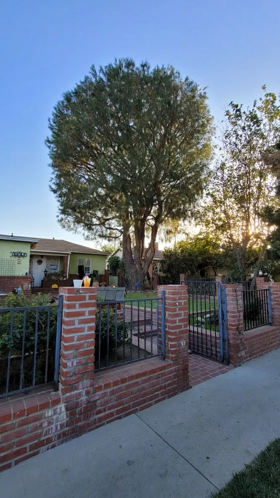 Reliable residential landscaping in Los Angeles, CA - Heights Landscape