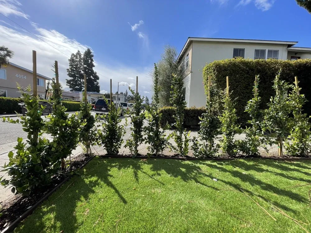 Affordable yard maintenance for homes across Los Angeles, CA - Heights Landscape