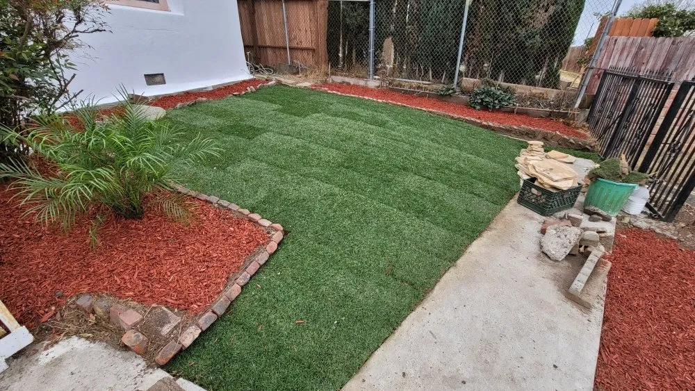 Local yard cleanup service in Los Angeles, CA - Heights Landscape