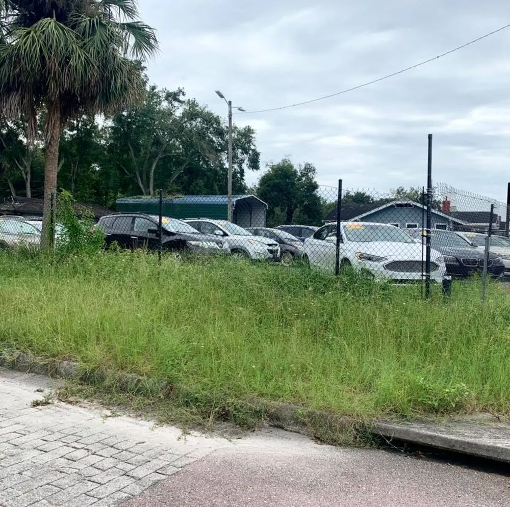 Professional landscape design experts serving Tampa Bay, FL - Heights Lawn care