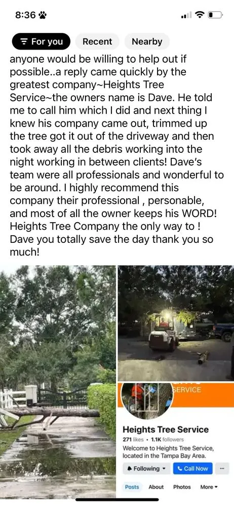 Local lawn care service in Tampa, FL by Heights Tree Service