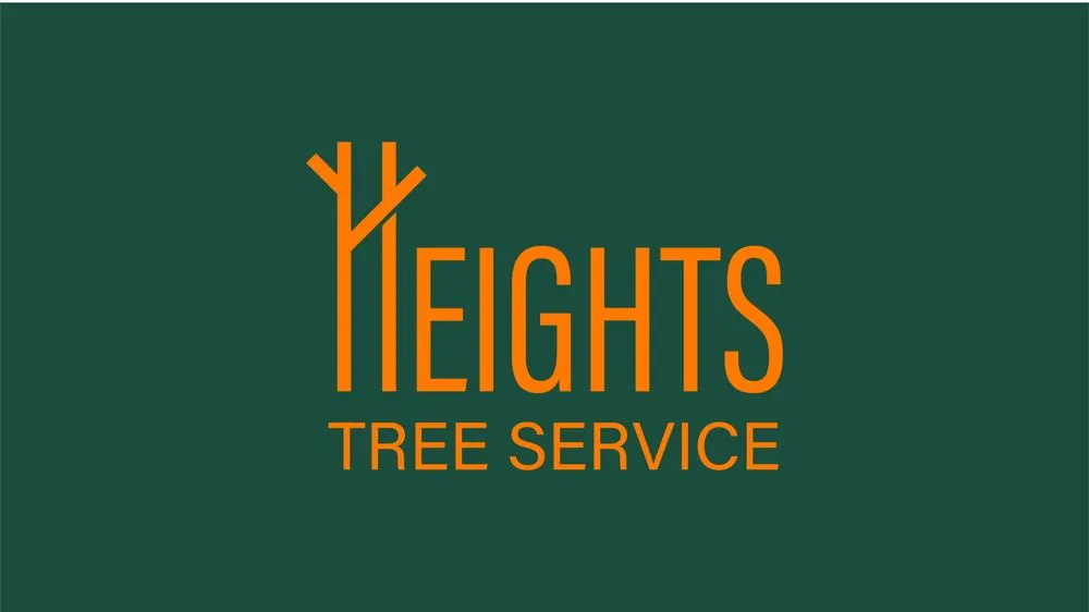 Top-rated lawn care service in Tampa, FL - Heights Tree Service