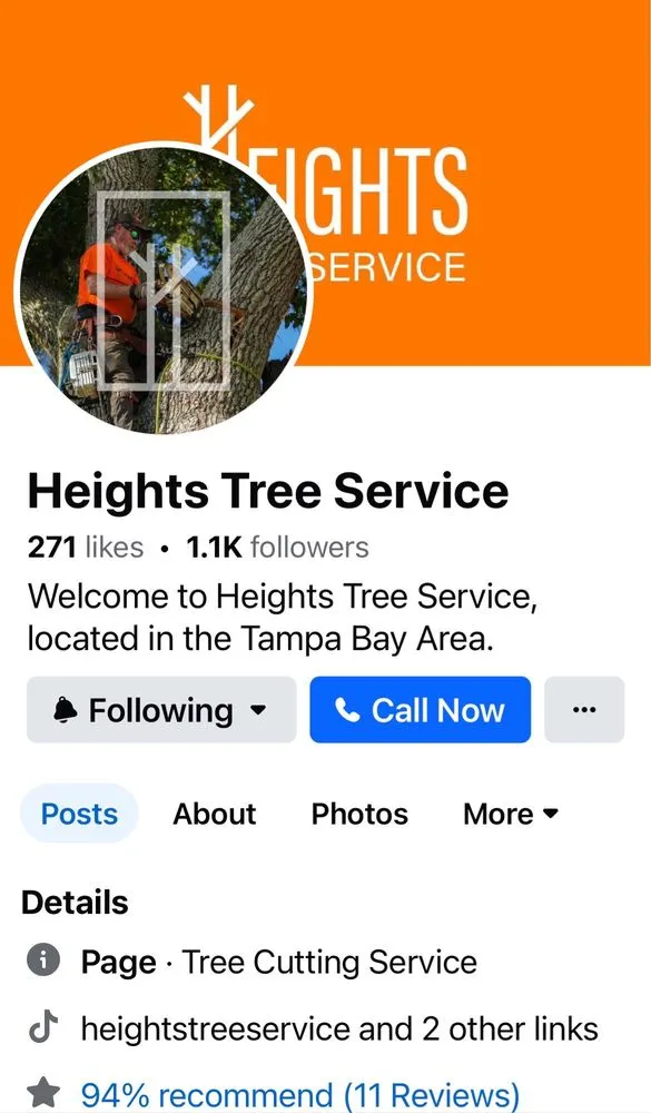 Professional outdoor landscaping experts serving Tampa, FL - Heights Tree Service