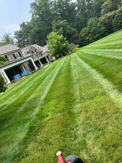Affordable lawn care service in West Chester, PA - Heilmann Landscaping