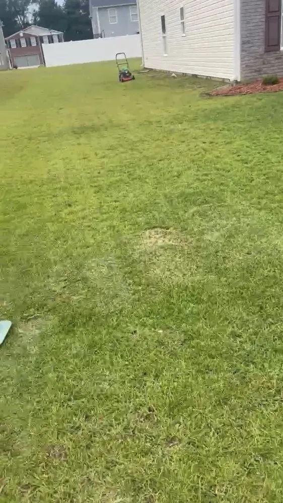 Expert lawn care service in Timmonsville, SC by Heim Lawn Care