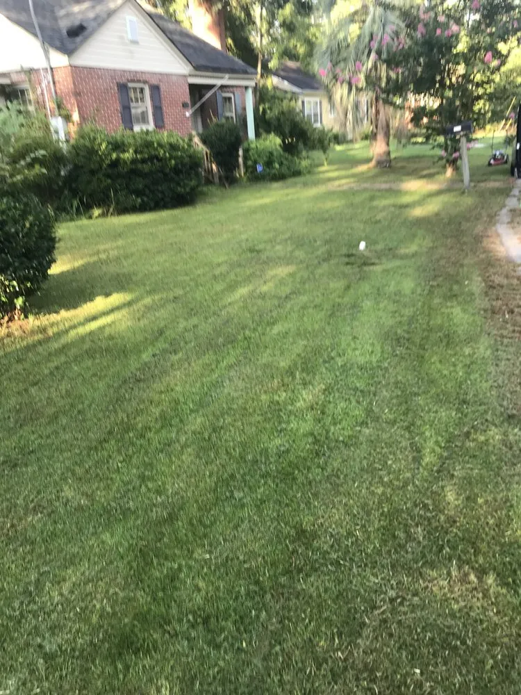 Reliable landscape design near you across Timmonsville, SC - Heim Lawn Care