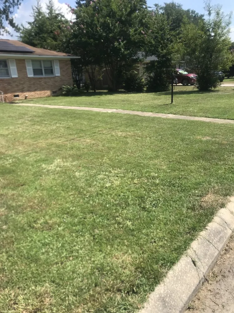 Expert yard maintenance experts serving Timmonsville, SC - Heim Lawn Care