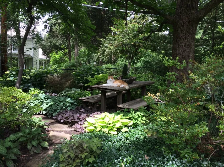 Trusted yard maintenance in Kansas City, KS - Heinen Landscape & Irrigation L C