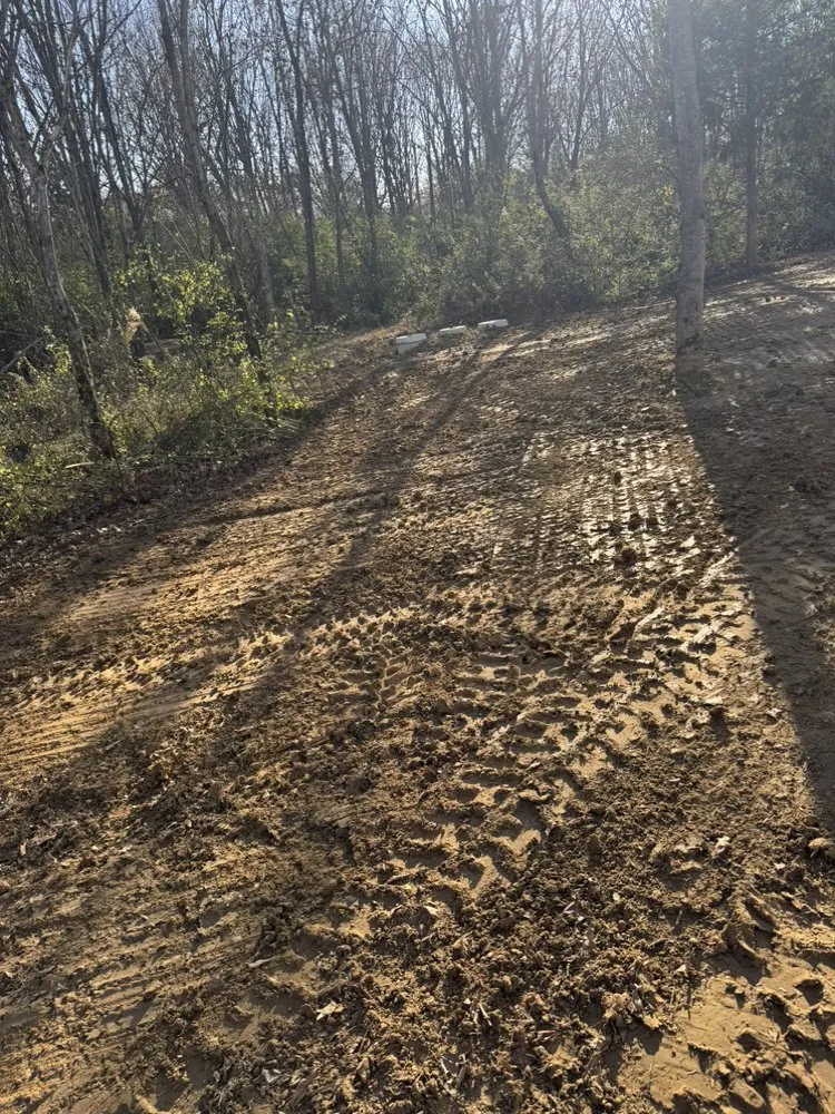 Top-rated yard maintenance in New Athens, IL - Heinen Landscaping