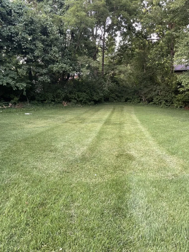 Professional landscape installation in New Athens, IL by Heinen Landscaping