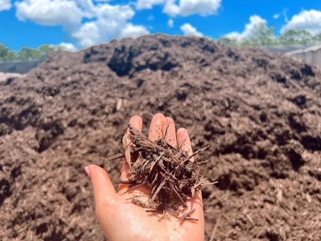Affordable landscape design in Tallahassee, FL by Heinz Nurseries