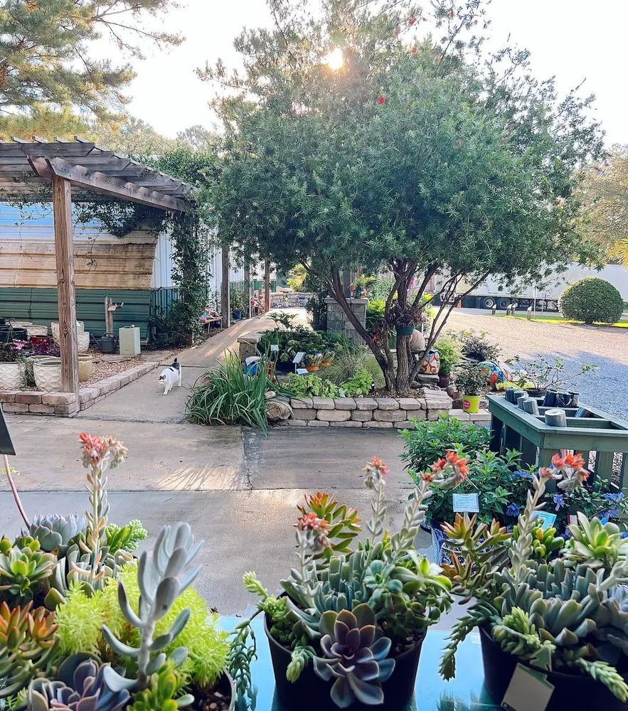 Expert yard cleanup service for homes in Tallahassee, FL by Heinz Nurseries